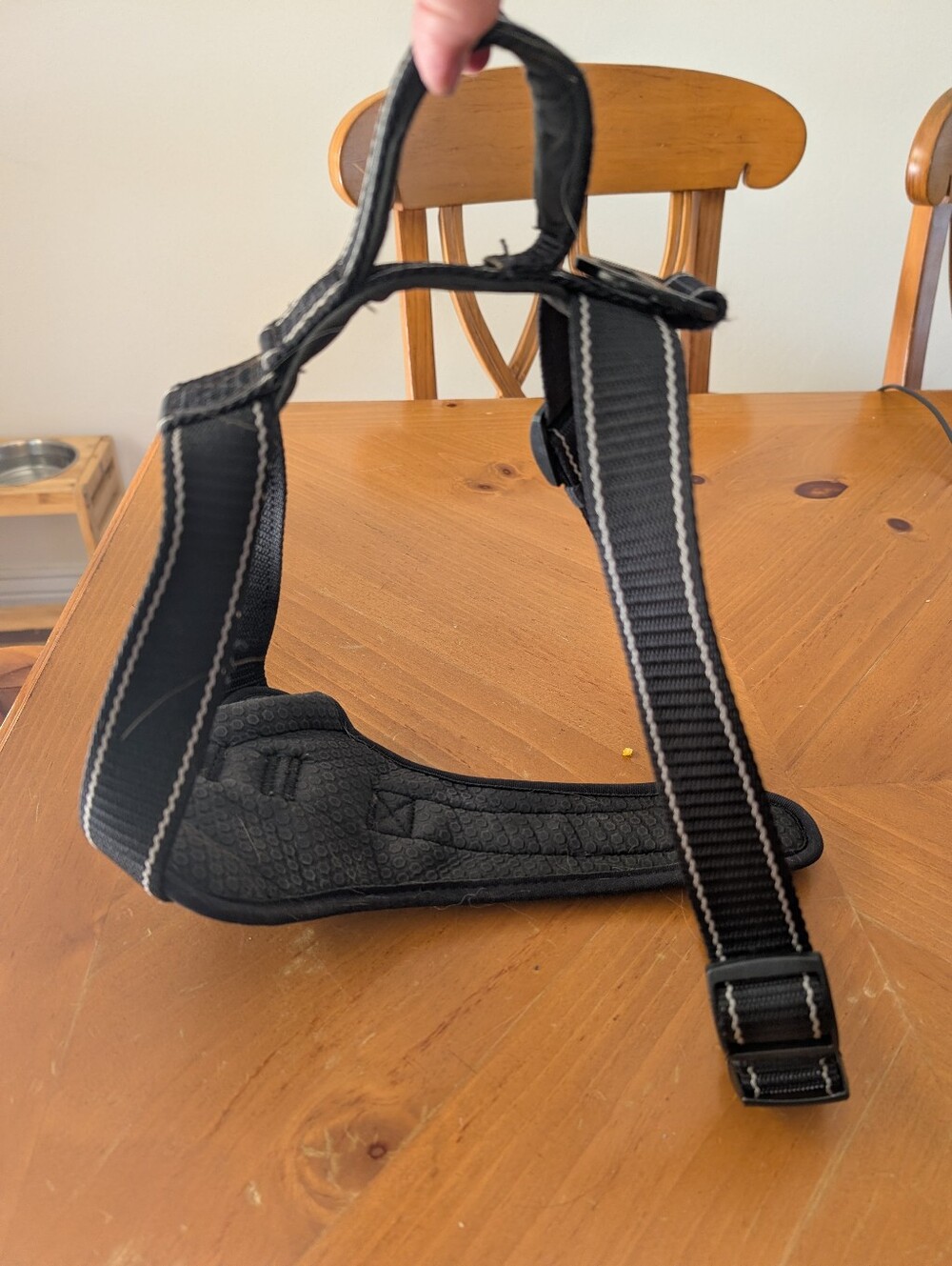 Adjustable Black Padded Dog Harness - Kong size Large